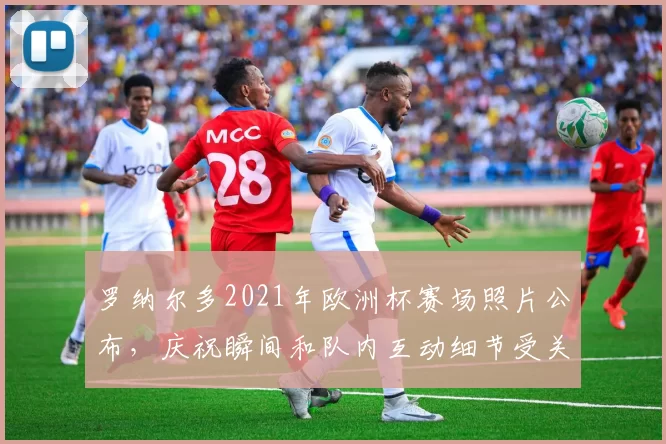 罗纳尔多2021年欧洲杯赛场照片公布,庆祝瞬间和队内互动细节受关注