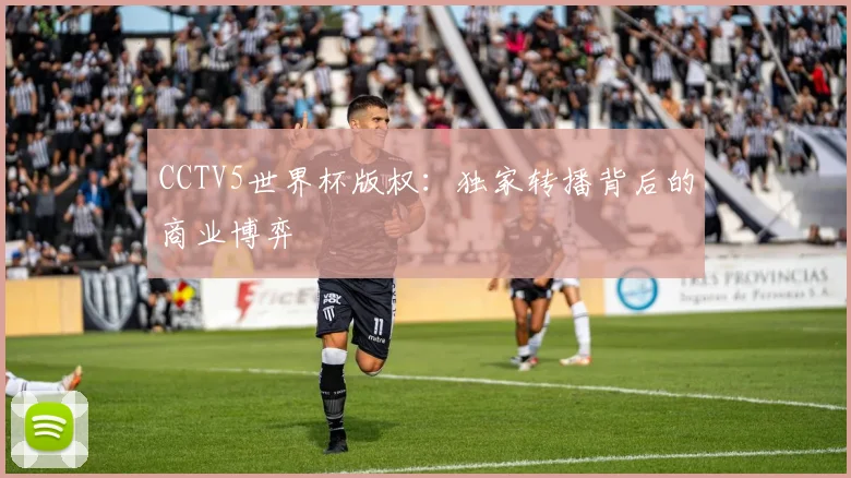 CCTV5世界杯版权：独家转播背后的商业博弈