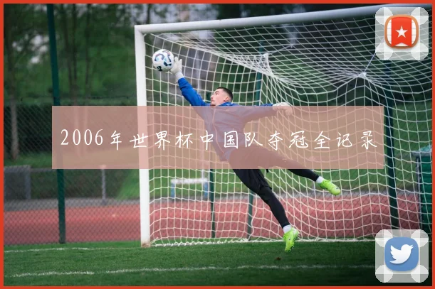 2006年世界杯中国队夺冠全记录